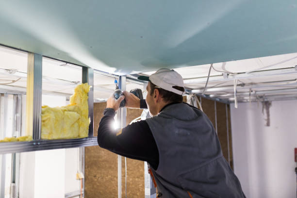 Best Commercial Insulation in Lake Bryan, TX