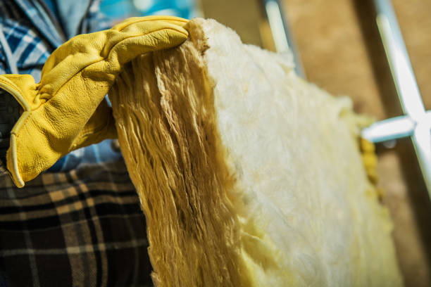 Best Insulation Installation Services in Lake Bryan, TX